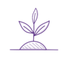 Personal avatar